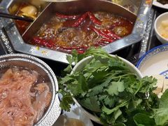 -蜀香居鲜毛肚火锅