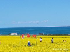 -青海湖国家重点风景名胜区