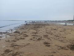 -金梦海湾浴场