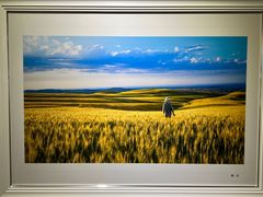 -南湖市民广场-乌鲁木齐美术馆