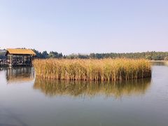 -溱湖国家湿地公园
