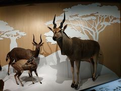 -陕西自然博物馆