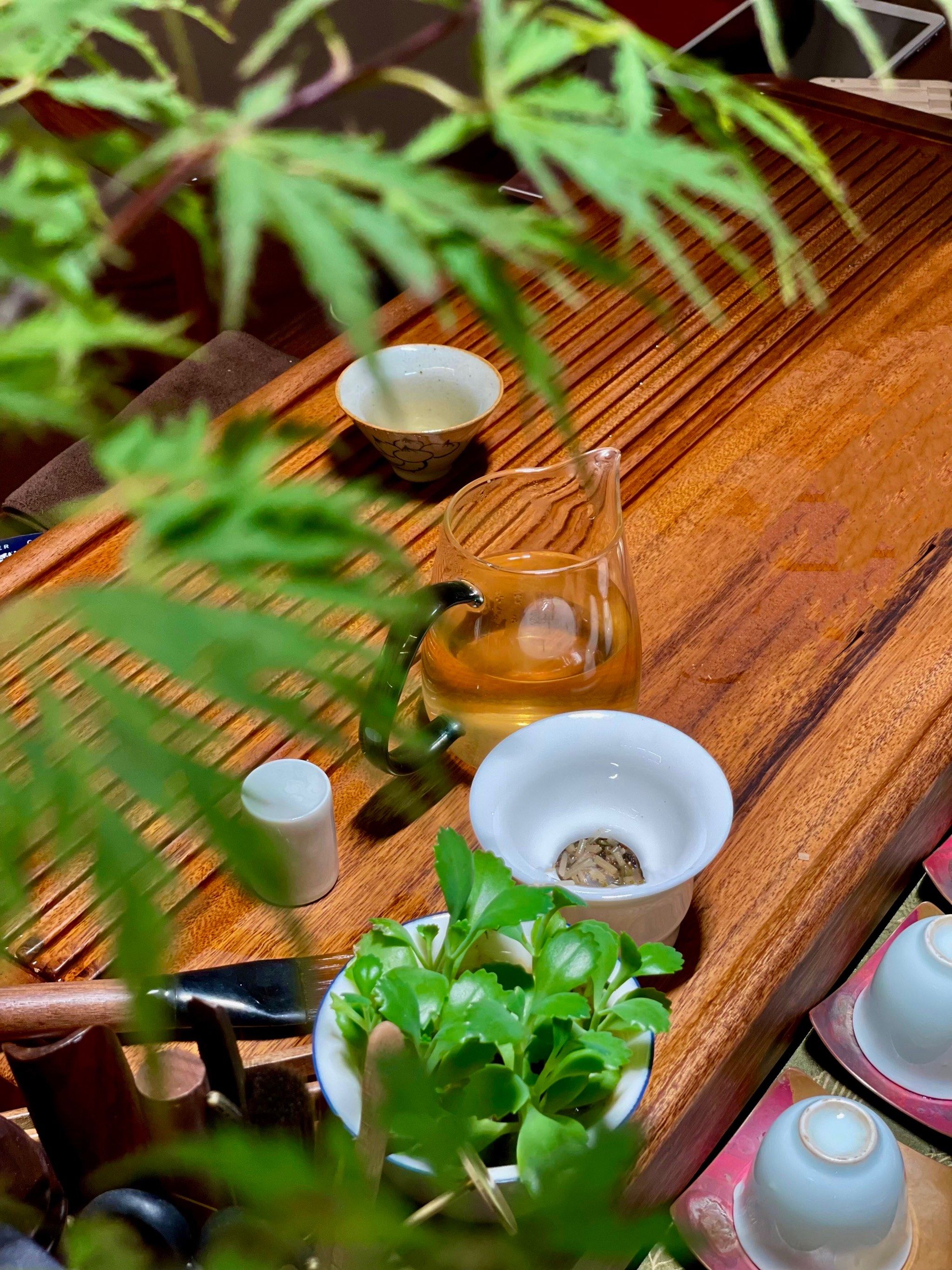 也很🈶️意境
茶叶培训课试听了一下非常的专业👍

#茶品