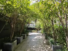 -野蔓果·山野菜(西湖景区·龙井茶田店)