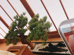 -文三酒肆自助放题(新街口友谊广场店)