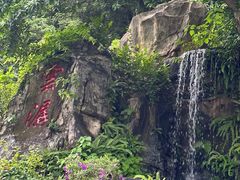-广州市白云山风景名胜区