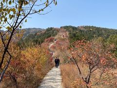 -北京西山国家森林公园