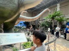 -国家自然博物馆