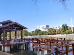 -万泉公园