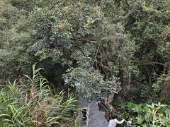 -东莞观音山旅游风景区