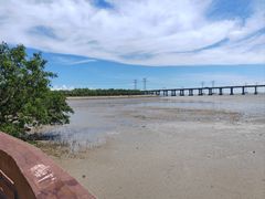 -宝安西湾红树林湿地公园