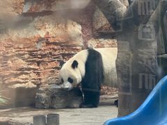 -石家庄市动物园