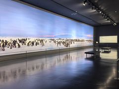 -罗红摄影艺术馆