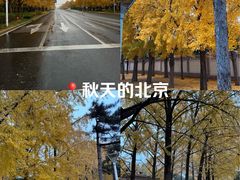 -钓鱼台国宾馆