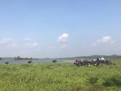 -米内日亚国家公园
