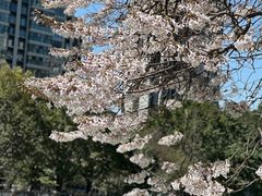 -红星桥(地铁站)