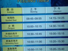 -上海海洋水族馆