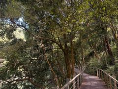 -广州市流溪河国家森林公园