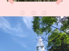 -大奇山国家森林公园