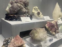 -湖南省地质博物馆