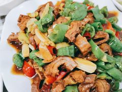 尖椒肥肠-瑜瑜饭馆