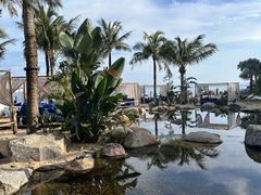 -精酿农场Brew Farm·沙漠绿洲餐厅