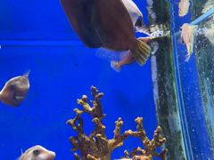 -海合安武汉极地海洋公园