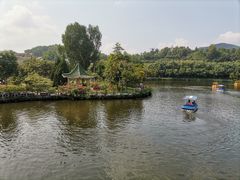 -大屏嶂森林公园