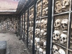 -比如骷髅墙景区