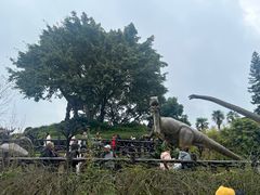 -自贡恐龙博物馆