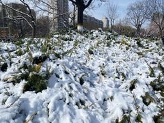 -北京明城墙遗址公园