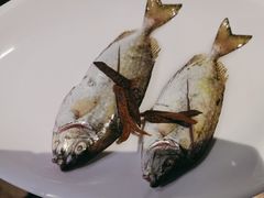 -青蓬蒸汽海鲜·深圳老字号·团建聚会(壹方城店)