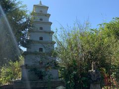 -亚龙湾国际玫瑰谷