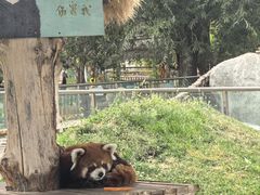 -水上乐园·欢乐世界