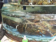 -天津金元宝滨海农产品交易市场(共发大道)