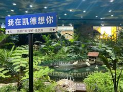 -凯德广场(学府店)