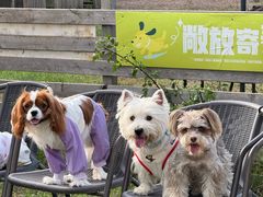 -趣多多宠物公园·宠物训犬学校·宠物寄养