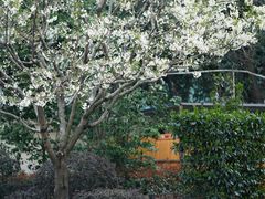 -苏州河梦清园环保主题公园