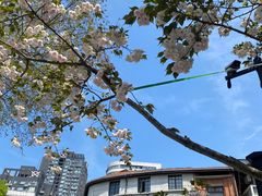 -飞马旅黎黄陂路文旅街区