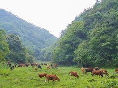 -水磨沟环境自然保护区