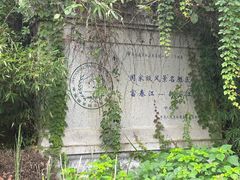 -新安江山水画廊风景区