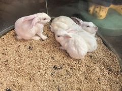 -正佳雨林生态植物园