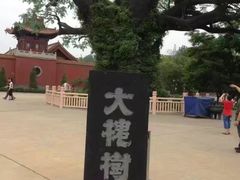 景点-大槐树寻根祭祖园