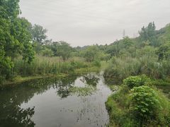 -西湖风景区-江洋畈生态公园