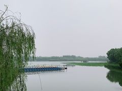 -大兴滨河森林公园