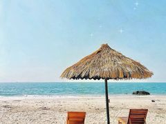 -广东惠东海龟国家级自然保护区