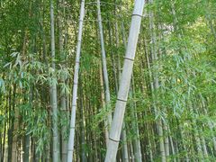-穹窿山景区