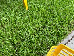 -813芭依珊 BAESAn(皇冠十畝地店)