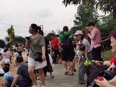 -枫香湖儿童公园