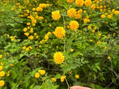 -南山风景名胜区